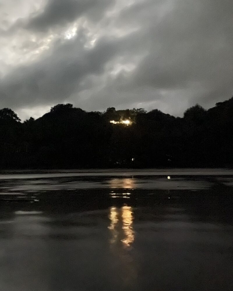 spring cleaning flyer